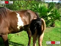 Teen sucks horse like a whore and ends up covered in sperm all over her